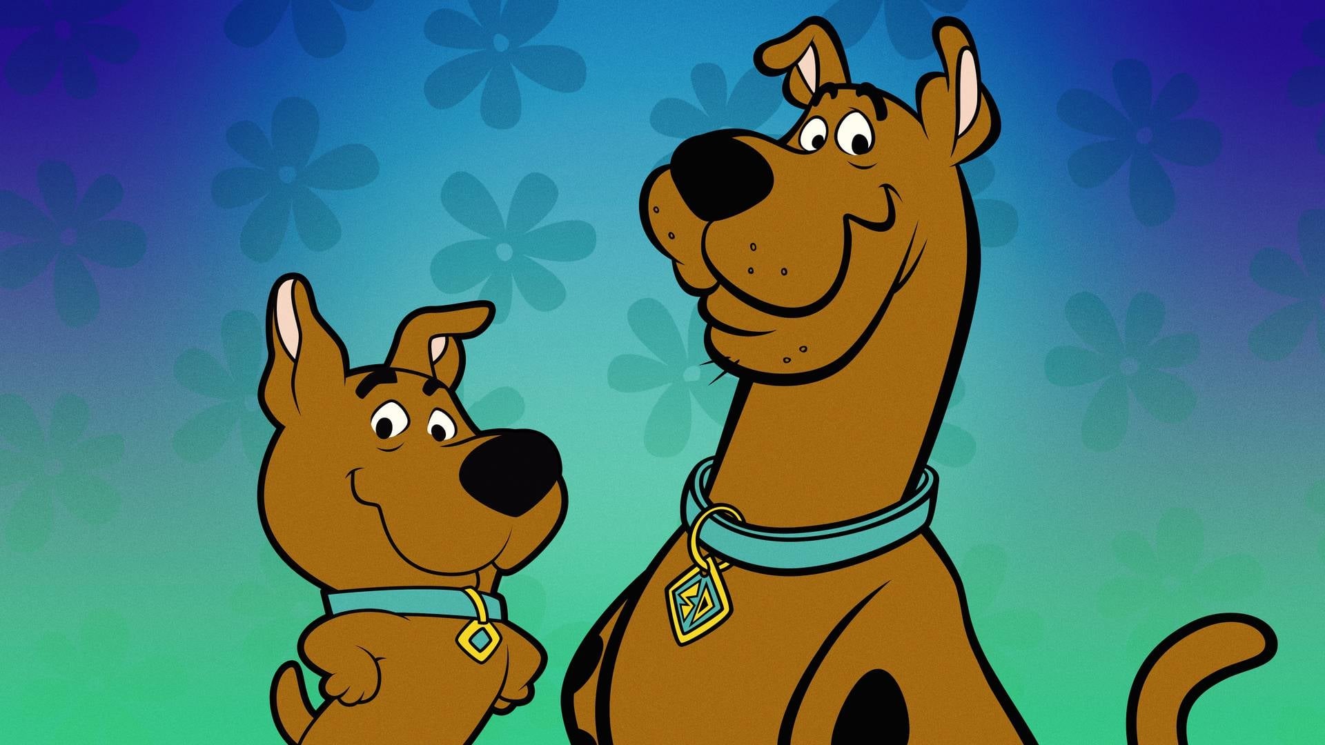 |FR| Scooby-Doo et Scrappy-Doo 1979 FHD 0