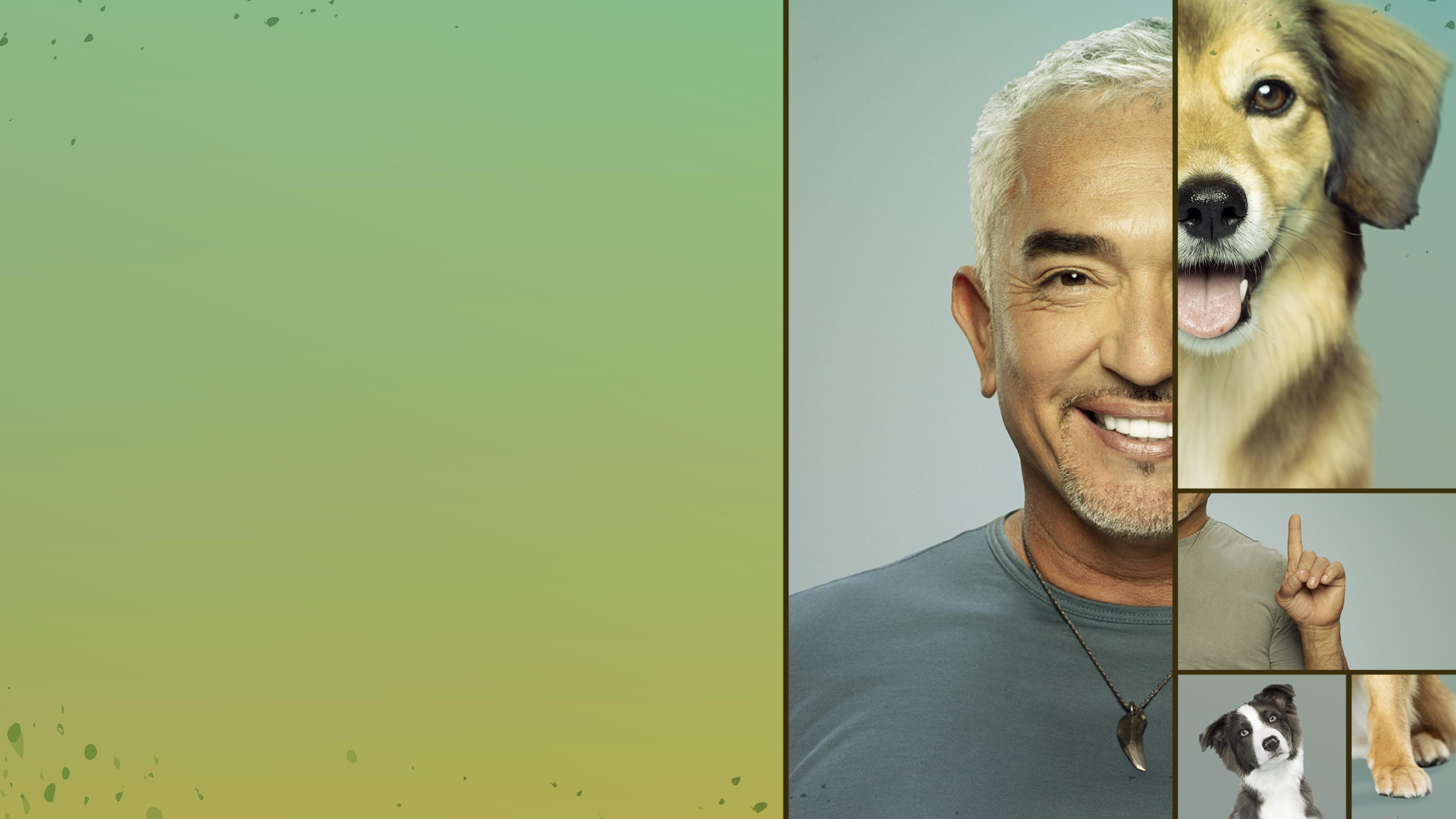 |FR| Cesar Millan Tel Maitre Tel Chien (Cesar Millan Better Human Better Dog) 2021 FHD 0