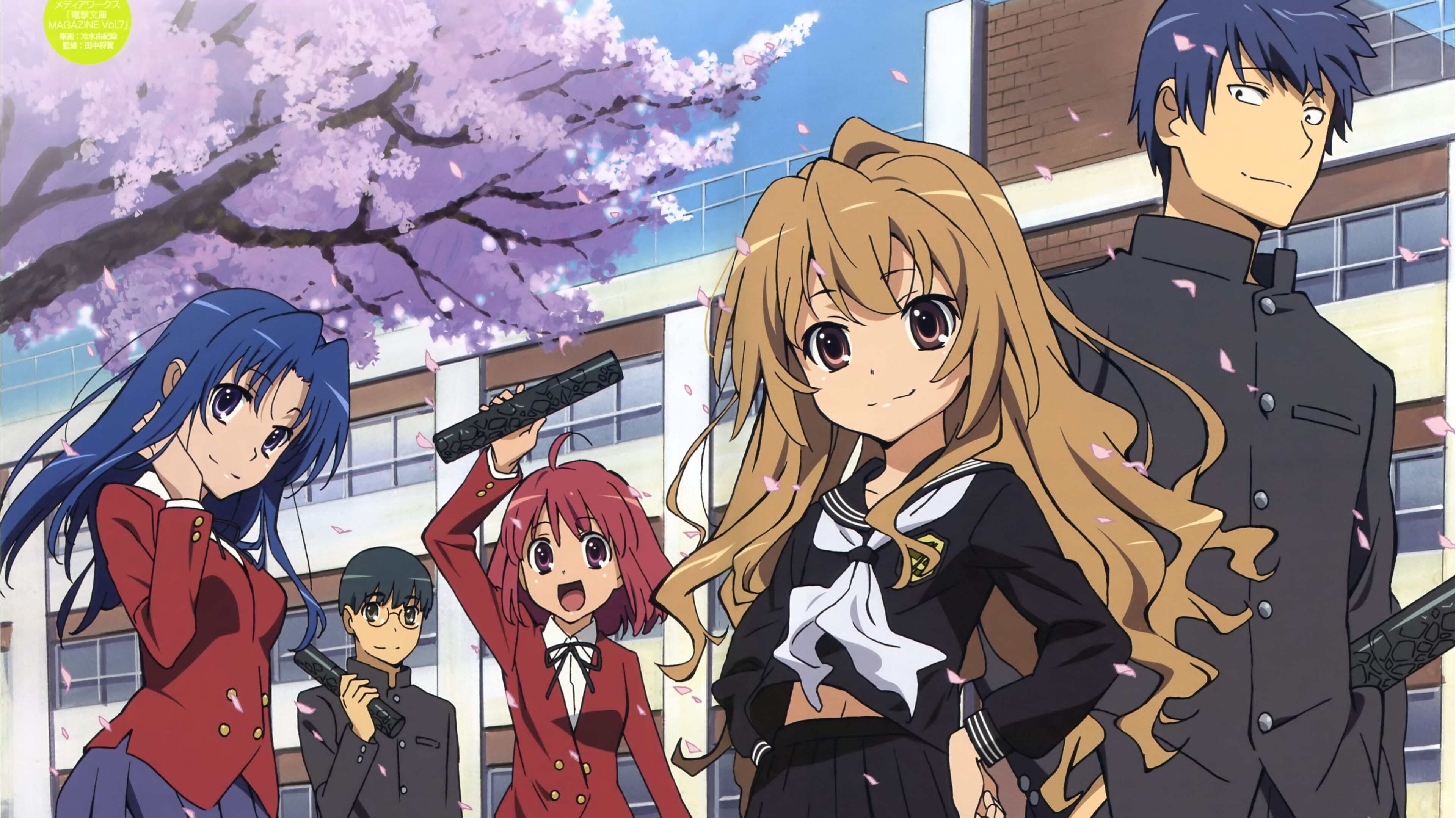 |FR| Toradora 2008 FHD (VOST) 0